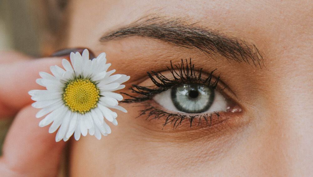 PRODERMIS Karlsruhe Wimpernwelle und Wimpernlifting