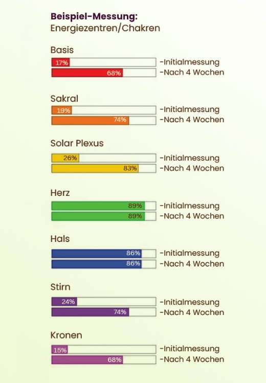 Beispielhafte Messergebnisse der Energiezentren