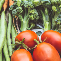 Vitamine und Nährstoffe bei trockener Haut