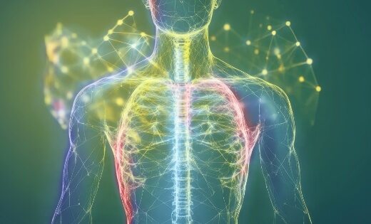 Geistige Wirbelsäulenbegradigung